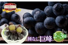 ＜25年発送先行予約＞山梨県笛吹市産　種なし巨峰　1kg　2～3房 223-003