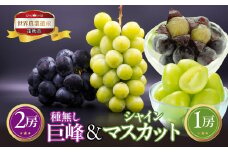 ＜25年発送先行予約＞山梨県笛吹市産　シャインマスカット1房　種無し巨峰2房 223-005