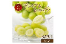 【2024年発送】さわやかに滴るシャインマスカット 約650g　1房　065-024