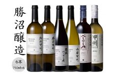 勝沼醸造おすすめ6本セット 167-035