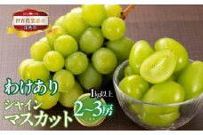 ＜2025年発送＞山梨県笛吹市産　訳ありシャインマスカット　1kg以上　2房から3房 223-008