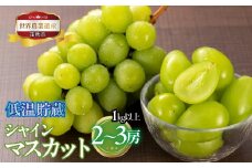 ＜25年発送先行予約＞山梨県笛吹市産　低温貯蔵シャインマスカット　1kg以上　2房から3房 223-009