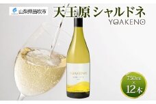 《無地熨斗 対応可》YOAKENO 天王原シャルドネ 750ml×12本 177-4-081