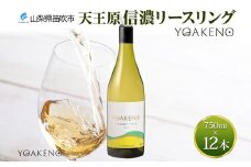 《無地熨斗 対応可》YOAKENO天王原信濃リースリング 750ml×12本 177-4-082