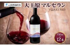 《無地熨斗 対応可》YOAKENO 天王原マルセラン 750ml×12本 177-4-084
