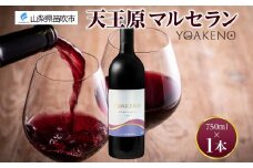 《無地熨斗 対応可》YOAKENO 天王原マルセラン 750ml×1本 177-4-089