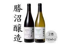 勝沼醸造　穂坂ベーリーA・山梨甲州樽発酵2本セット 167-043