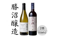 勝沼醸造　山梨甲州樽発酵・ベーリーAヴィンテージ2本セット 167-046