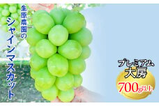 【2025発送】【期間限定】フルーツ王国笛吹市の【大粒】シャインマスカット1房700g以上 137-002   山梨 笛吹市 山梨県産 シャインマスカット 高レビュー 数量限定 冷蔵配送 クール便 