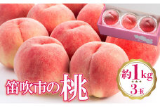 ＜25年発送先行予約＞桃 3玉入り(約1㎏) 222-009　| もも 桃 山梨 フルーツ 