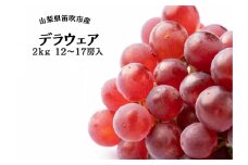 ＜25年発送先行予約＞笛吹市産デラウェア12～17房 2kg 167-051