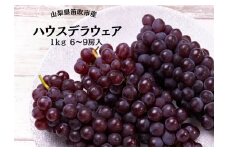 ＜25年発送先行予約＞笛吹市産ハウスデラウェア6～9房 1kg 167-052