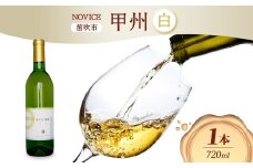 白ワイン NOVICEノヴィス 甲州 720ml×1本 フルボトル 日川中央葡萄酒 山梨県 笛吹市 177-7-12