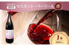 赤ワイン NOVICE マスカット・ベーリーA 1800ml×1本 フルボトル 日川中央葡萄酒 山梨県 笛吹市 177-7-16