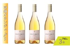 『甲州オランジュ・グリ』白ワイン750ml×3本 015-030