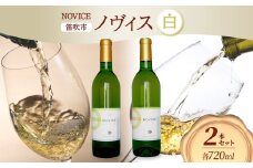 白ワイン NOVICE ノヴィス 白 2種 セット シュール・リー 甲州＆甲州 720ml 各1本 計2本 フルボトル 日川中央葡萄酒 山梨県 笛吹市 177-7-21