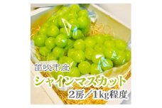 ＜25年発送先行予約＞こだわりの逸品!　甘さと香り際立つ山梨県産シャインマスカット2房(合計1kg程度) 229-001