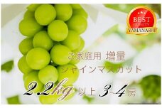 ＜25年発送先行予約＞ご家庭用シャインマスカット2.2ｋｇ以上（3～4房） 111-021｜葡萄 ぶどう 葡萄 シャインマスカット 種無し 旬果 2.2キロ 産地 笛吹市産 山梨県産 フルーツ 果物 旬 シャイン マスカット 発送 期間限定 国産 2025年 ｜