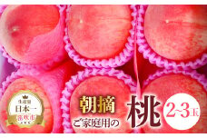 ＜25年発送先行予約＞ご家庭用の桃2～3玉 111-022