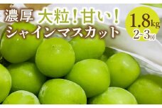 ＜25年発送先行予約＞農園直送！シャインマスカット　約1.8ｇ（2～3房入り） 109-018