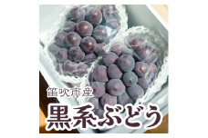 ＜25年発送先行予約＞黒系ぶどう2房(合計1kg程度) 229-005