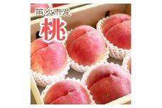 ＜25年発送先行予約＞笛吹市産白桃　1箱2kg程度 229-006