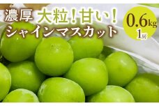 ＜25年発送先行予約＞農園直送！シャインマスカット　約600g（1房入り） 109-017