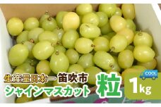 ＜25年発送先行予約＞笛吹市産　シャインマスカット粒 106-020