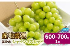 ＜25年発送先行予約＞産地厳選シャインマスカット600g～700g（1房）
 106-021 | シャインマスカット 山梨 発送 ぶどう 斎庵 笛吹市 山梨県 フルーツ 果物 葡萄 シャインマスカット 発送 おすすめ 贈答 シャインマスカット 山梨 山梨県笛吹市 産地 期間限定 笛吹市 笛吹 国産 人気 新鮮 種なし 高級 くだもの  完熟 ブドウ 発送 |