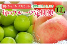 ＜25年発送＞ふえふき旬のフルーツ定期便（桃・シャインマスカット）全2回【LL】 109-023