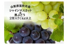 ＜25年発送先行予約＞笛吹市産旬の葡萄２房入り２色セット 1kg以上 167-142