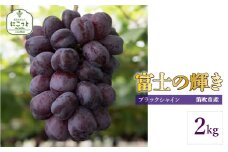 ＜25年発送先行予約＞富士の輝き2キロ 097-017　 