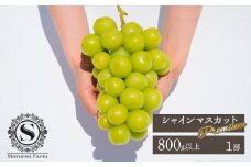 ＜25年発送先行予約＞「マルエス農園」プレミアムシャインマスカット　1房　800g以上 216-002