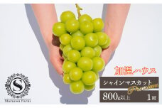 ＜25年発送先行予約＞「マルエス農園」加温ハウス　プレミアムシャインマスカット　1房　800g以上　216-004