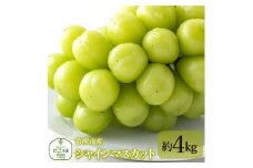 ＜25年発送先行予約＞シャインマスカット4kg 097-021