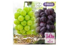 ＜25年発送先行予約＞シャインマスカット・富士の輝　1房ずつ（合計1.4kg） 097-023