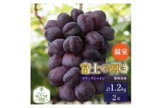 ＜25年発送先行予約＞温室　富士の輝　２房（合計1.2kg） 097-024