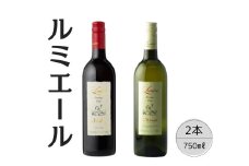 ルミエール　プレステージクラス　メルロー・オランジェ2本セット 167-110