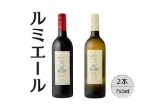 ルミエール　プレステージクラス　メルロー・甲州2本セット 167-111