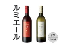 ルミエール　甲州シュールリー・GABU　2本セット 167-119