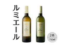 ルミエール　プレステージクラス　オランジェ・甲州2本セット 167-117