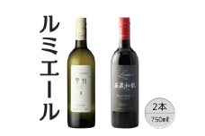 ルミエール　石蔵和飲・甲州シュールリー2本セット 167-118