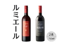 ルミエール　ＧＡＢＵ・石蔵和飲　2本セット 167-120