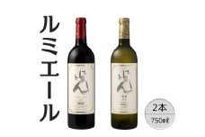 ルミエール　光セレクシォン・甲州　2本セット 167-121