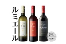 ルミエールおすすめ赤白ワイン3本セット 167-127