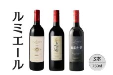 ルミエールおすすめ赤ワイン3本セット 167-128