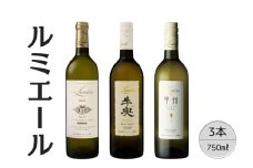 ルミエールおすすめ白ワイン3本セット 167-129