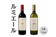 ルミエール　イストワール赤白2本セット 167-130