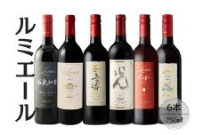ルミエールおすすめ赤ワイン6本セット 167-133