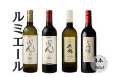 ルミエールおすすめ赤白ワイン4本セット① 167-134